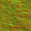 AET070_152_n_l.jpg