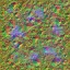 AET071_083_n_l.jpg