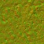 AET073_059_n_l.jpg