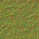 AET090_201_n_l.jpg