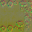 AET090_305_n_l.png