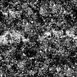 AET099_010_1m_l.jpg