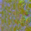 AET099_502_n_l.jpg