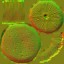 AET099_650_n_l.jpg