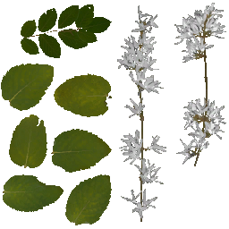 AET099_680_a_l.png