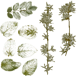 AET099_682_a_l.png
