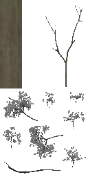 AET099_740_a_l.png