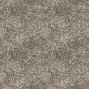 AET210_019_a_l.jpg