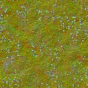 AET210_053_n_l.jpg