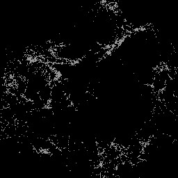 AET210_501_a_l.jpg