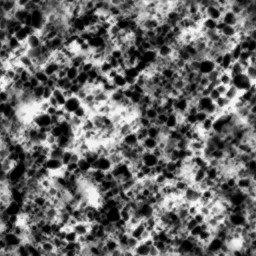 AET210_565_1m_l.jpg