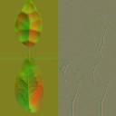 AET210_569_n_l.jpg