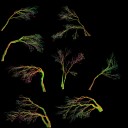 AET210_775_n_l.jpg
