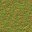 AET210_898_n_l.png