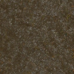 AET220_034_a_l.jpg