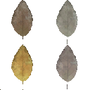 AET220_099_a_l.png