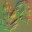 AET220_186_n_l.jpg