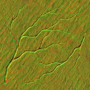 AET220_248_n_l.jpg