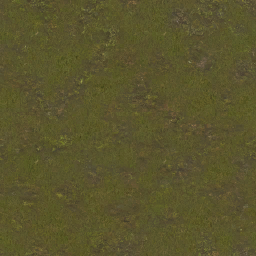 AET220_262_a_l.png