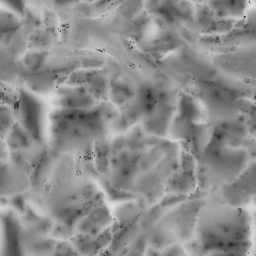 AET220_513_d_l.png
