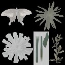 AET220_516_a_l.jpg