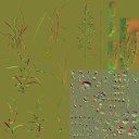 AET220_518_n_l.jpg