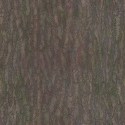 AET220_865_a_l.jpg