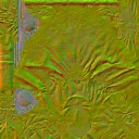 AET220_877_n_l.jpg