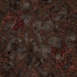 AET223_048_a_l.jpg