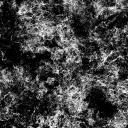 AET230_074_1m_l.png