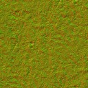 AET230_188_n_l.jpg