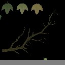 AET230_193_a_l.jpg