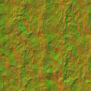 AET230_289_n_l.jpg