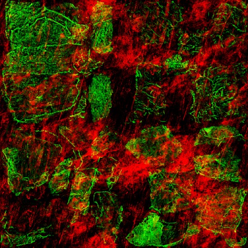 AET230_319_3m_l.jpg