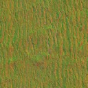 AET230_368_n_l.jpg