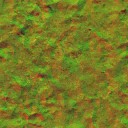AET230_369_n_l.jpg