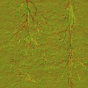 AET230_375_n_l.jpg