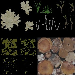 AET230_384_a_l.jpg