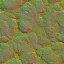AET230_387_n_l.jpg