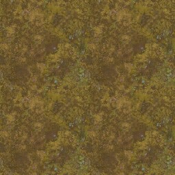 AET230_409_a_l.jpg