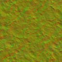 AET230_456_n_l.jpg