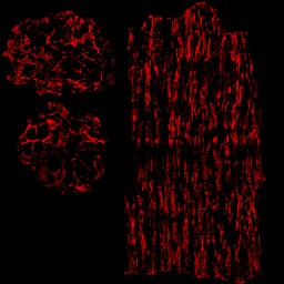 AET230_758_3m_l.jpg