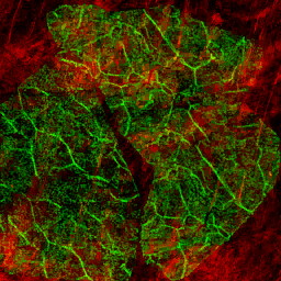 AET230_858_3m_l.png