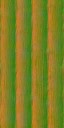 AET230_868_n_l.jpg