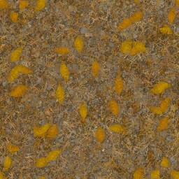 AET230_885_a_l.jpg