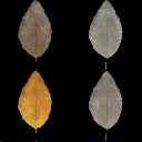 AET230_886_a_l.jpg