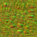 AET240_055_n_l.jpg