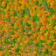 AET240_150_n_l.jpg