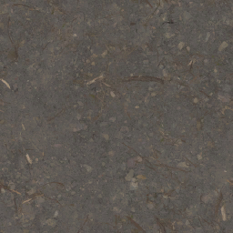 AET240_175_a_l.png