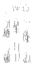 AET240_212_a_l.png